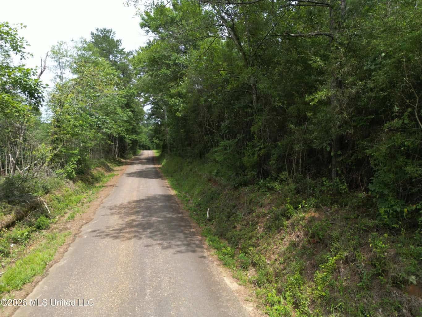 70+- Acres of Plantation Pines Pike County MS