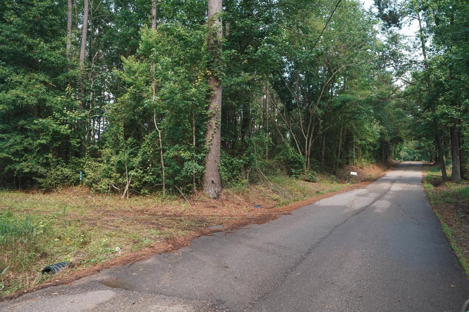 Weston 112 – Timber & Hunting Land in Jackson Parish, LA