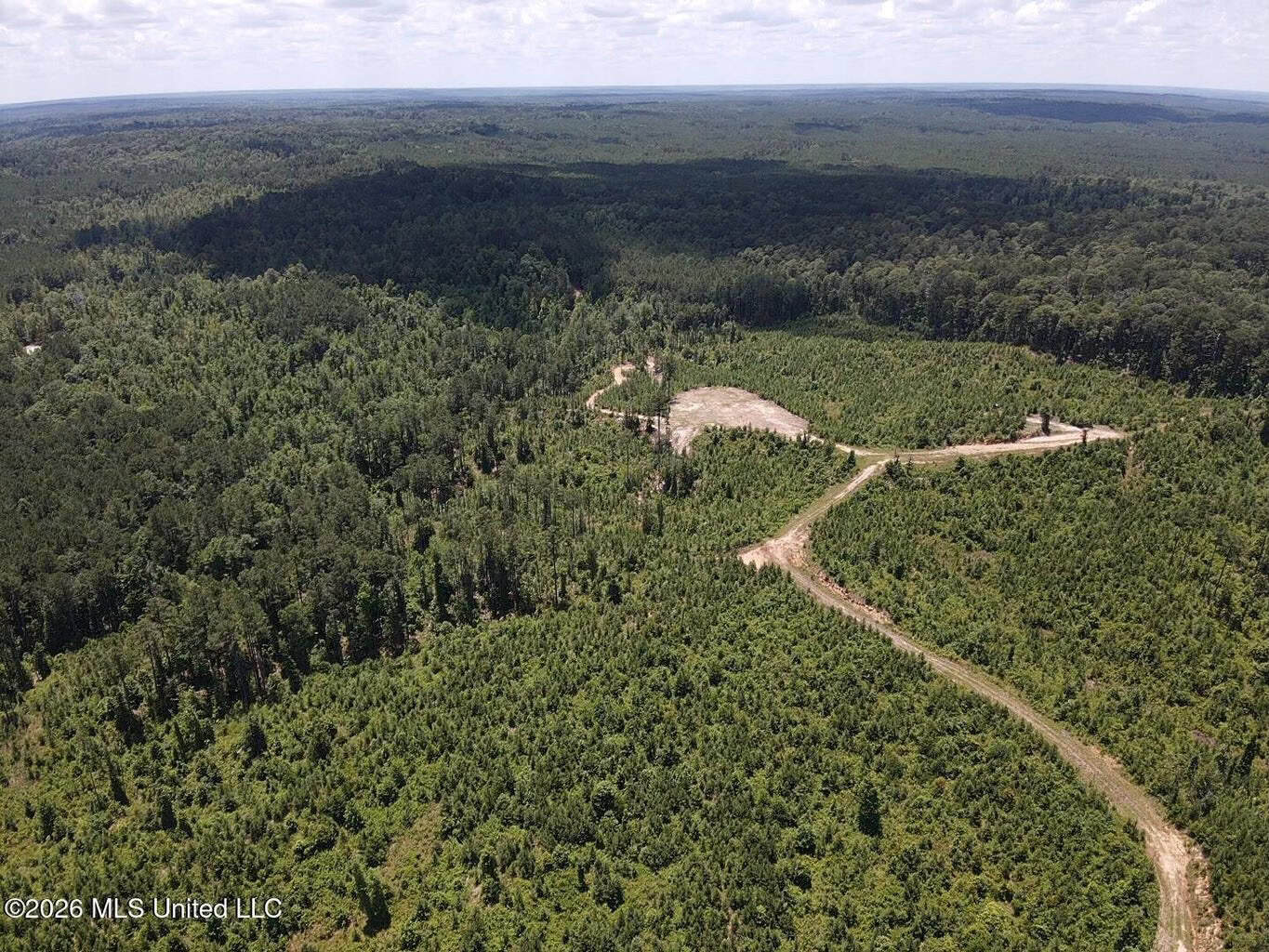 Wilkinson County MS Hunting Land for Sale