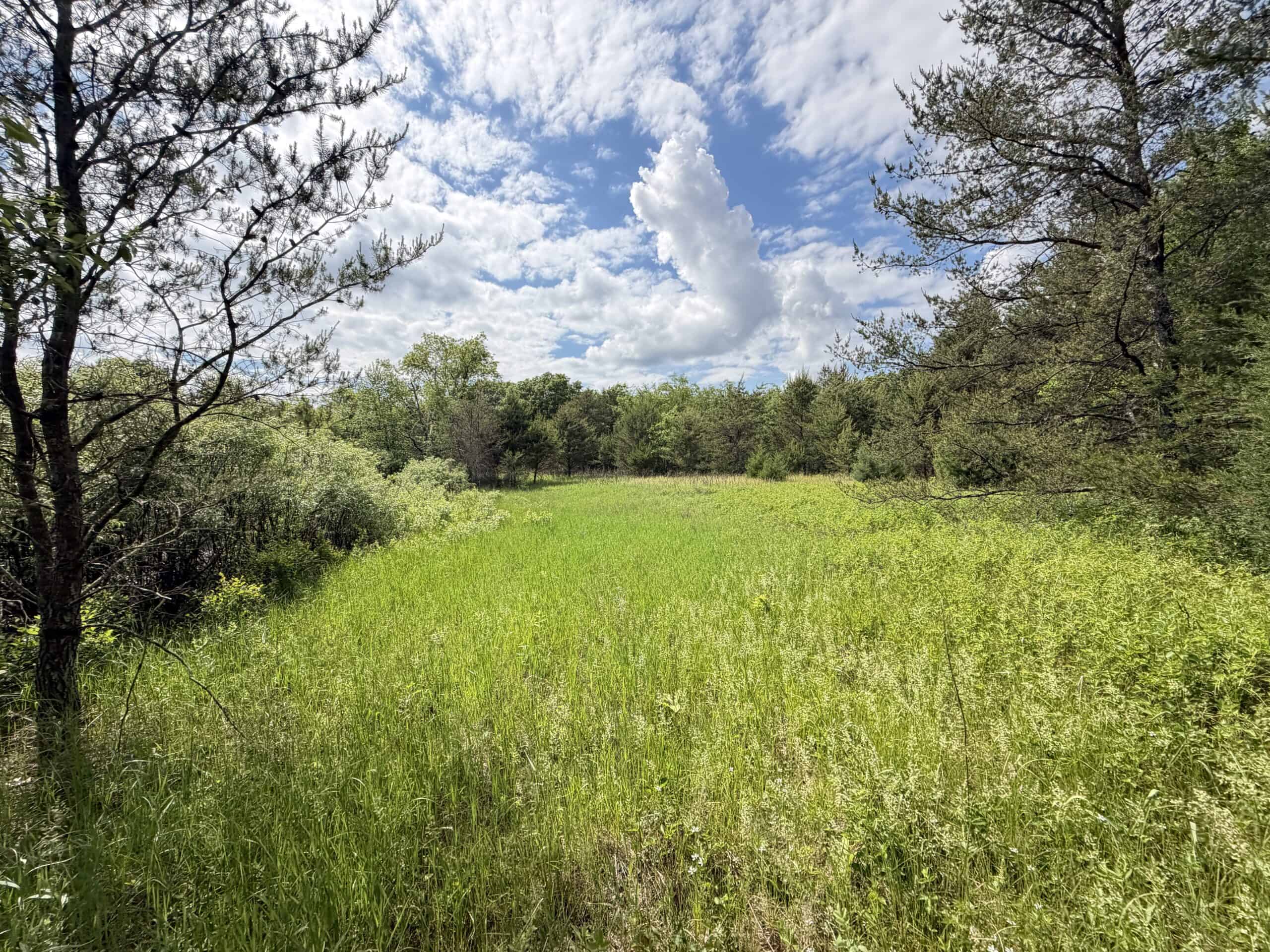 Forty acres in Adams County located in the Town of Strongs Prairie