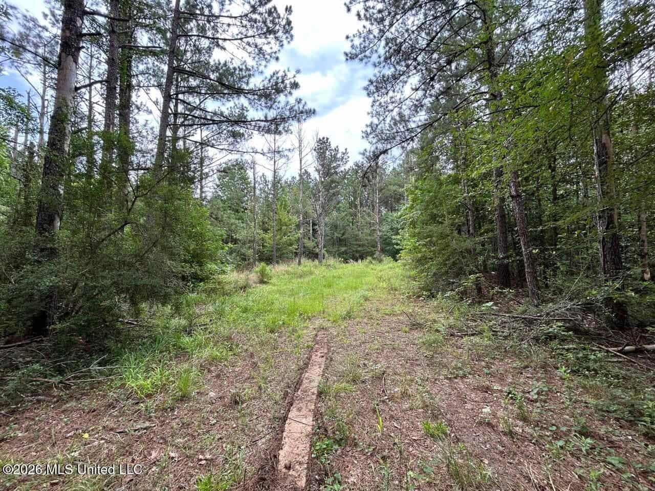 Crosby, MS Hunting Land by Homochitto National Forest