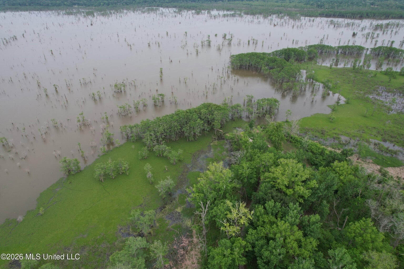 88 Acre Hunting Property – Wilkinson County, MS