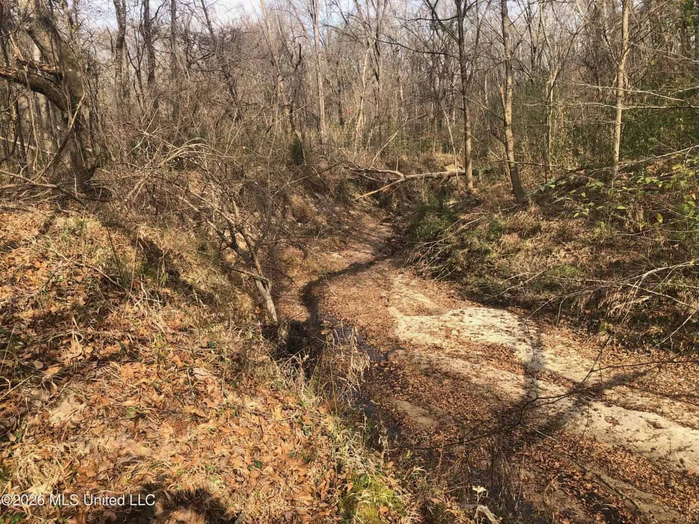 88.5 acres Hunting & Timber Land for Sale in Utica, Ms