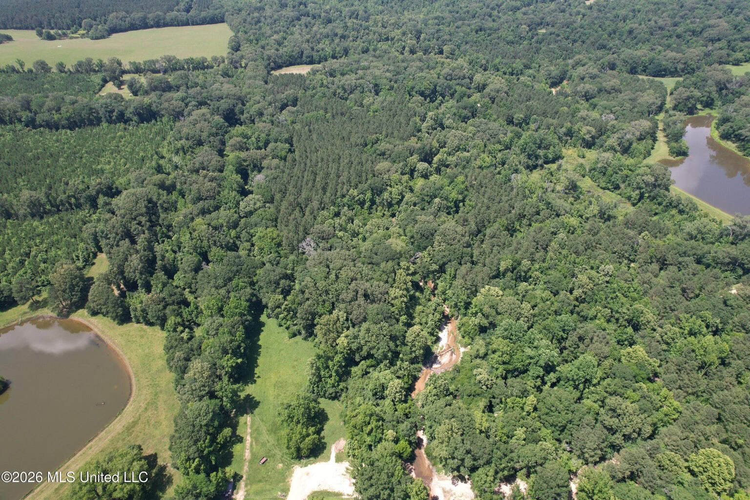 44 Acre Hunting Land in Wilkinson County, MS