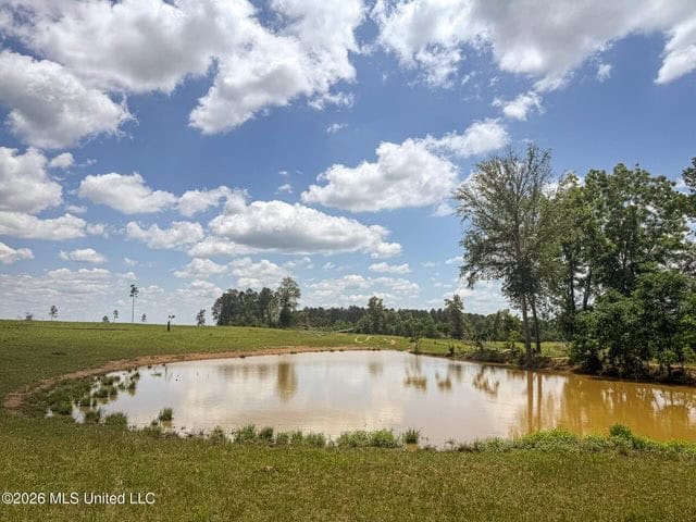 Pasture Land for Sale in Lincoln County, MS