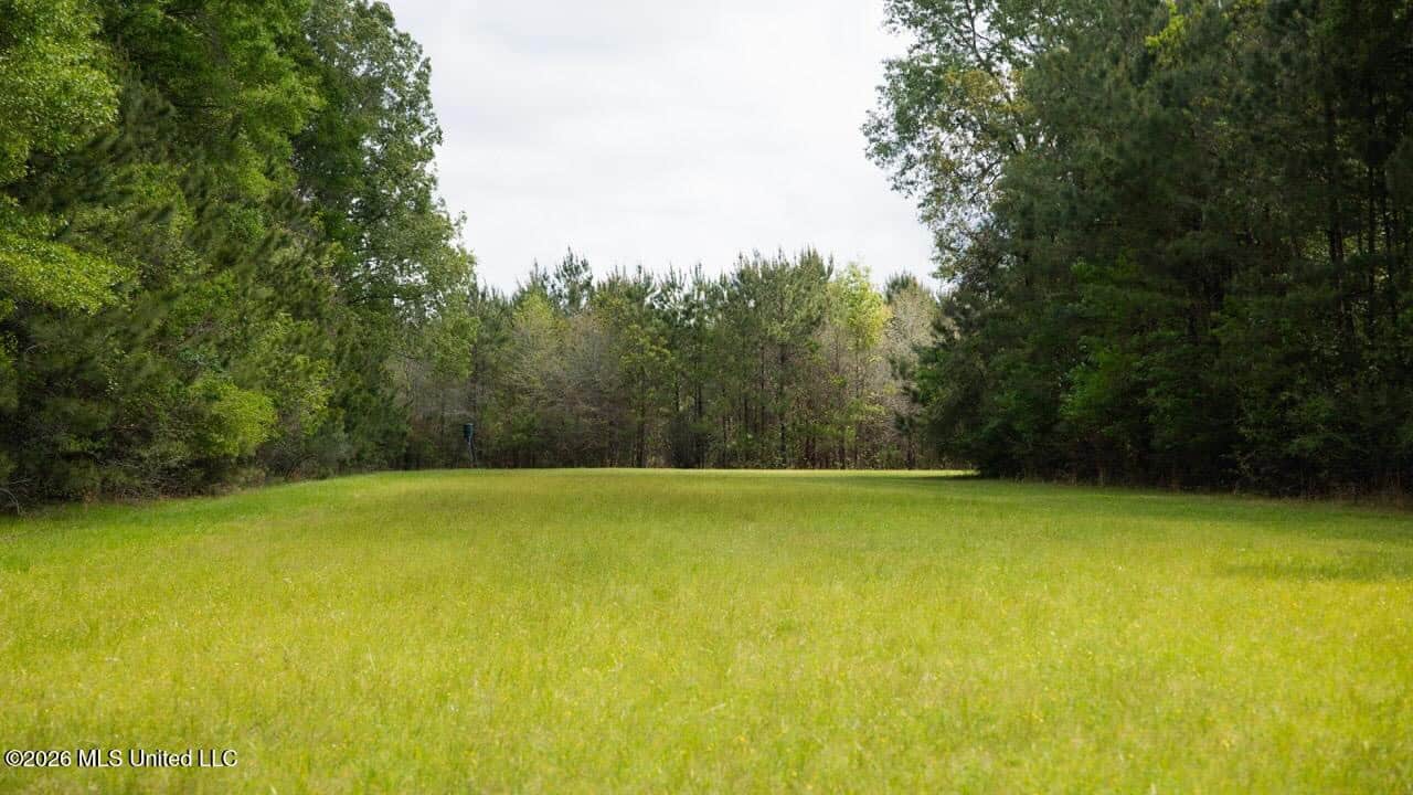Paradise Whitetails in Oakdale, LA – 1,116± Acres
