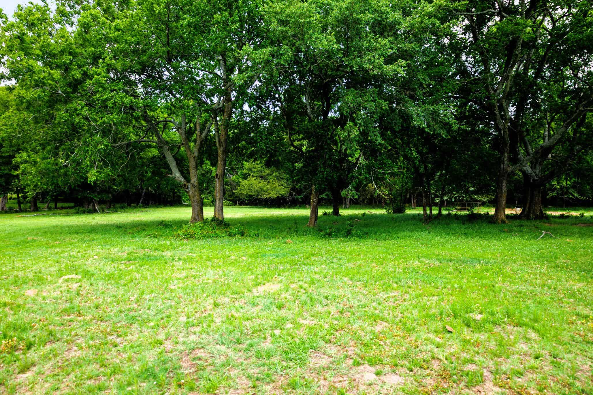 47.79-Acre Hunting Land with Cabin for Sale Ben Wheeler TX