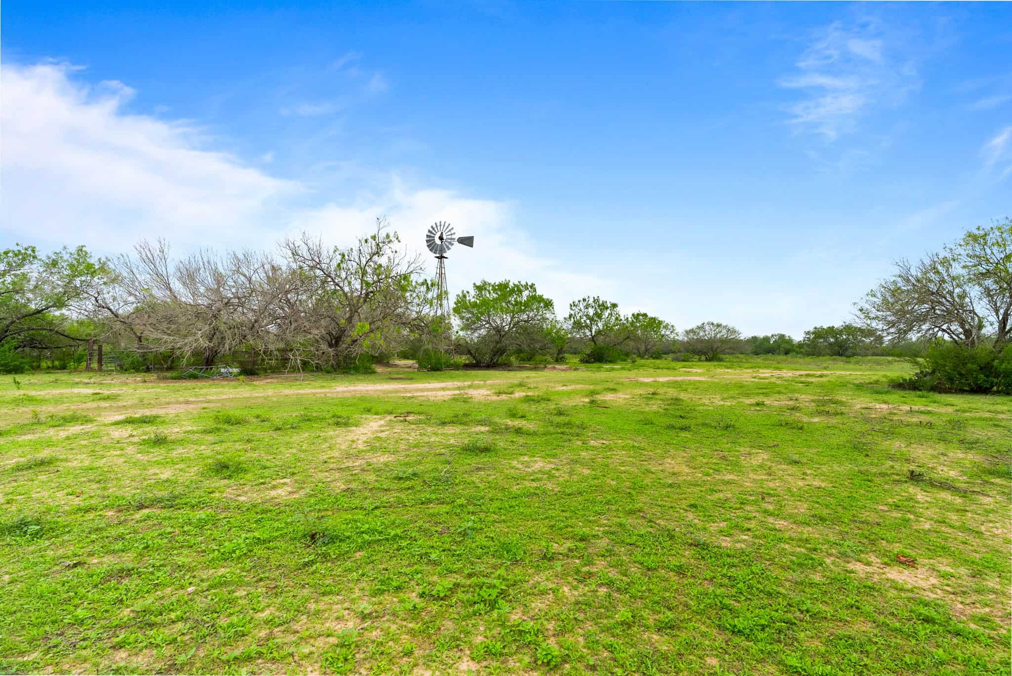 South Texas Dove Hunting Retreat
