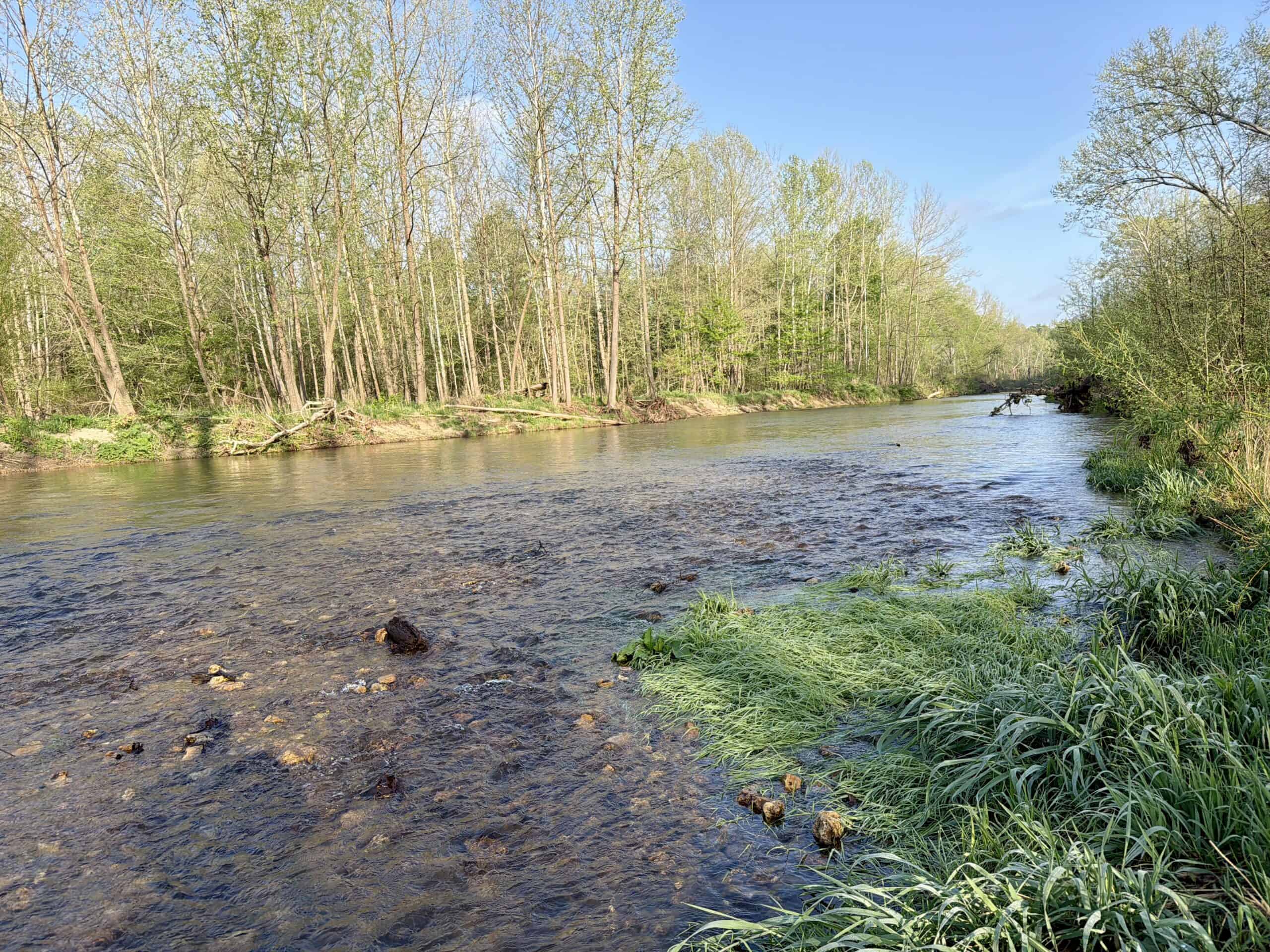 Land for Sale in the Missouri Ozark Mountains