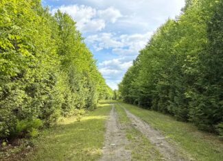 46 Acres of Maine Wilderness with Turnkey Off-Grid Cabin & Garage