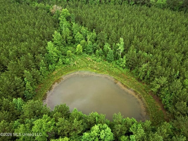 Land for Sale in Brookhaven, MS