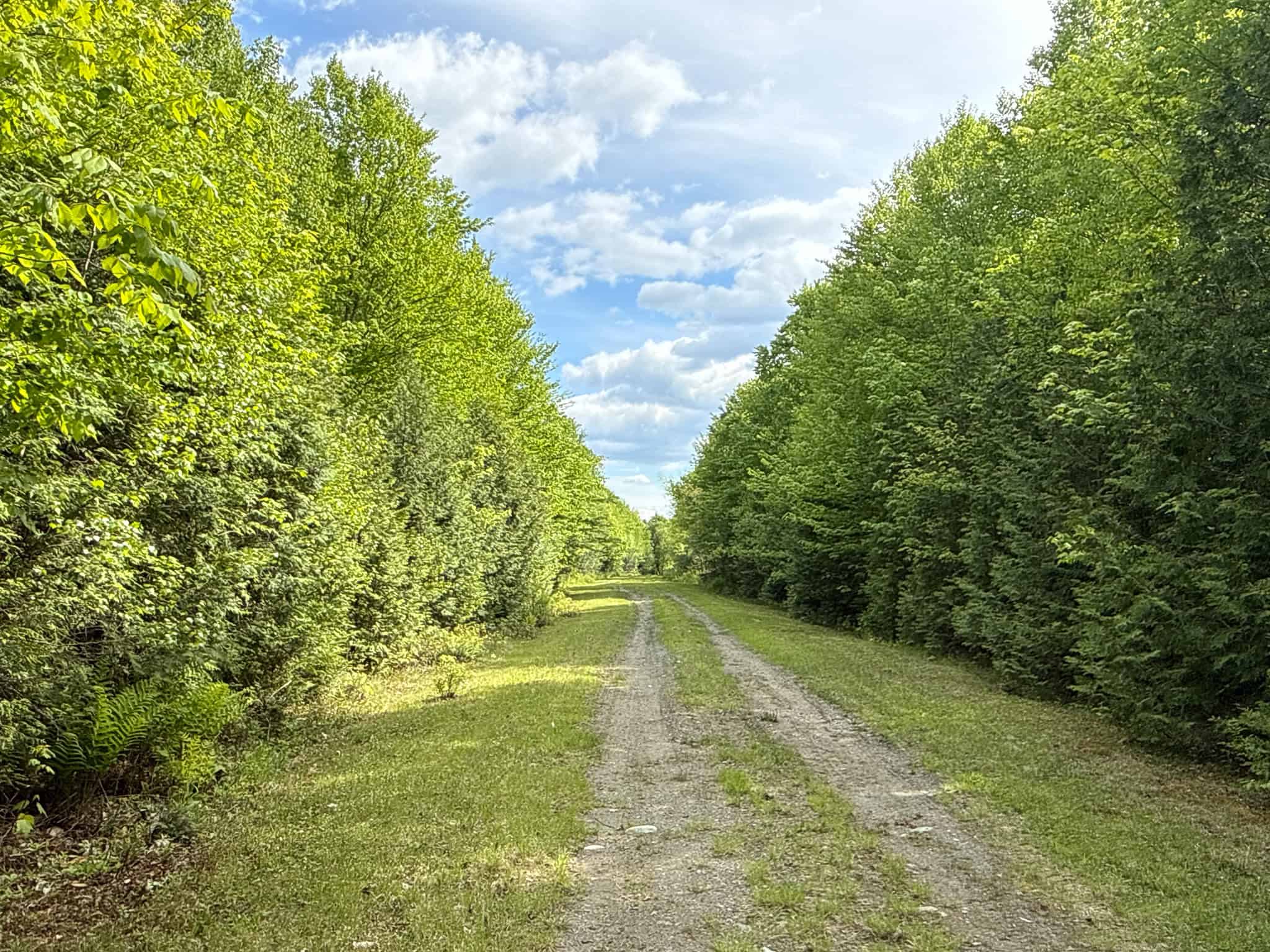 46 Acres of Maine Wilderness with Turnkey Off-Grid Cabin & Garage