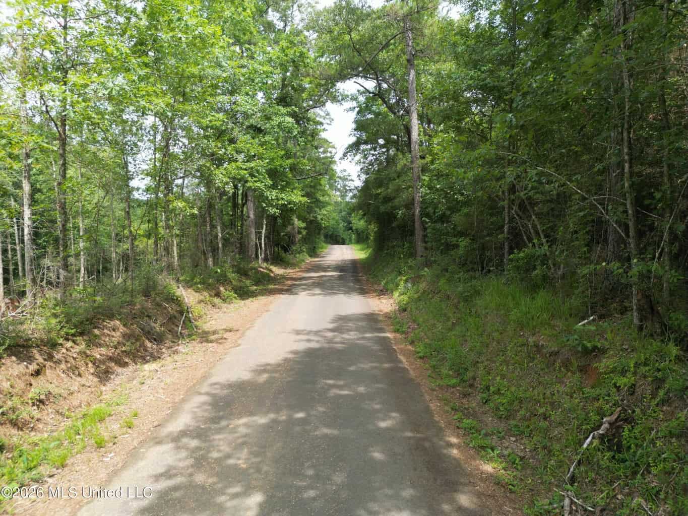70+- Acres of Plantation Pines Pike County MS