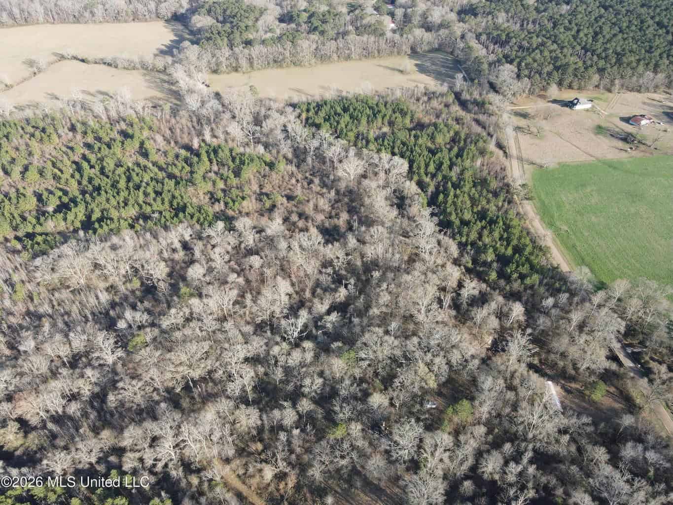 Hazlehurst MS Hunting Land for Sale