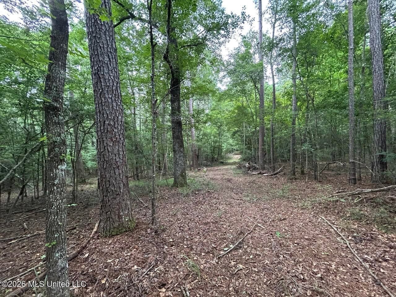 120± Acres for Sale in Osyka, MS on Tickfaw River