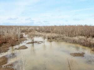 Jefferson County, MS Hunting Club Ownership Share
