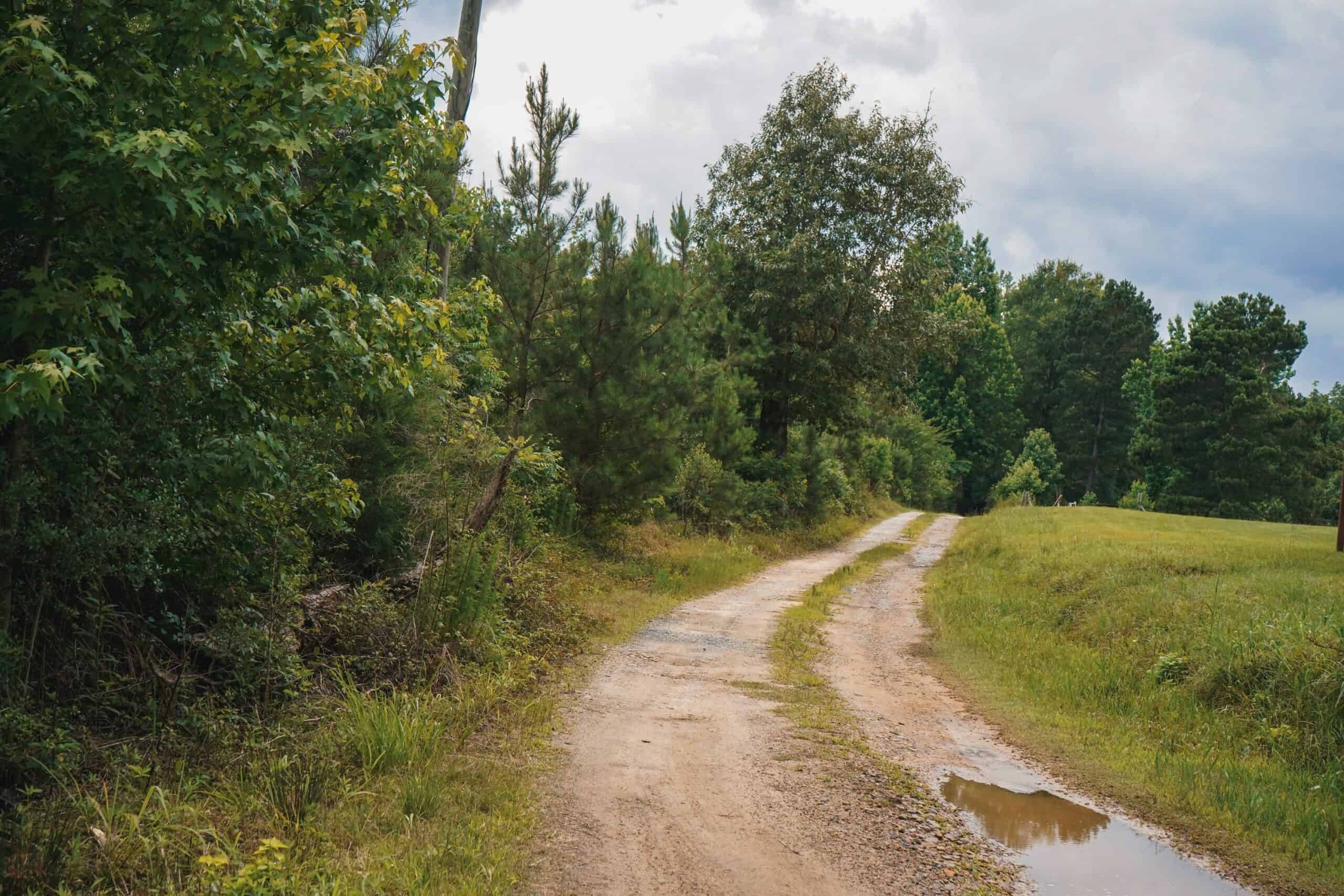 Weston 53 – Timber & Hunting Land in Louisiana