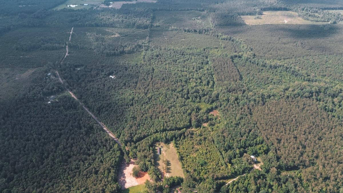 Weston 112 – Timber & Hunting Land in Jackson Parish, LA
