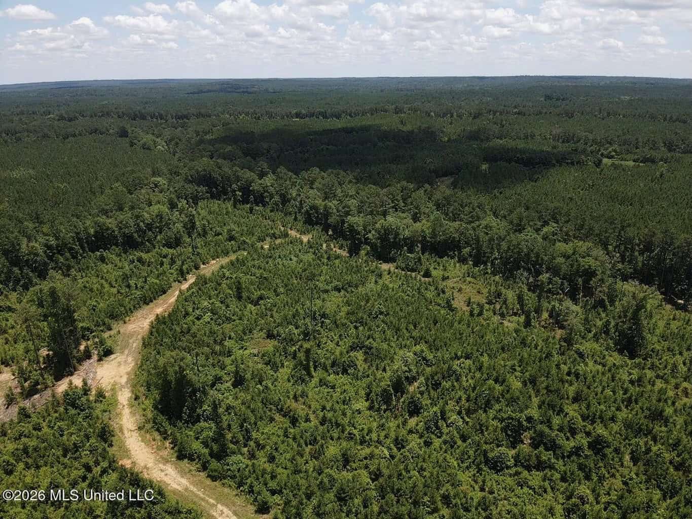 Wilkinson County MS Hunting Land for Sale