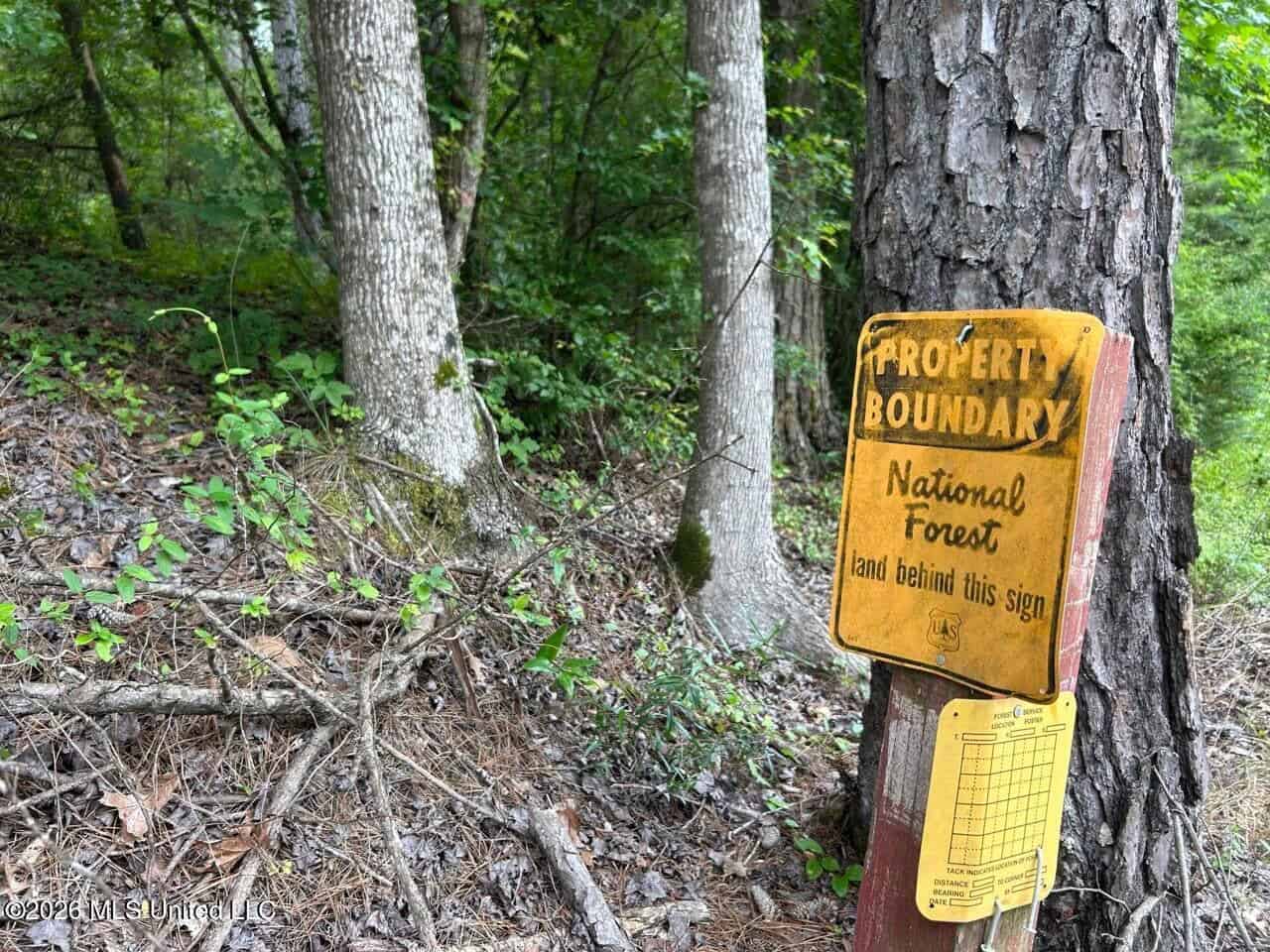 Crosby, MS Hunting Land by Homochitto National Forest