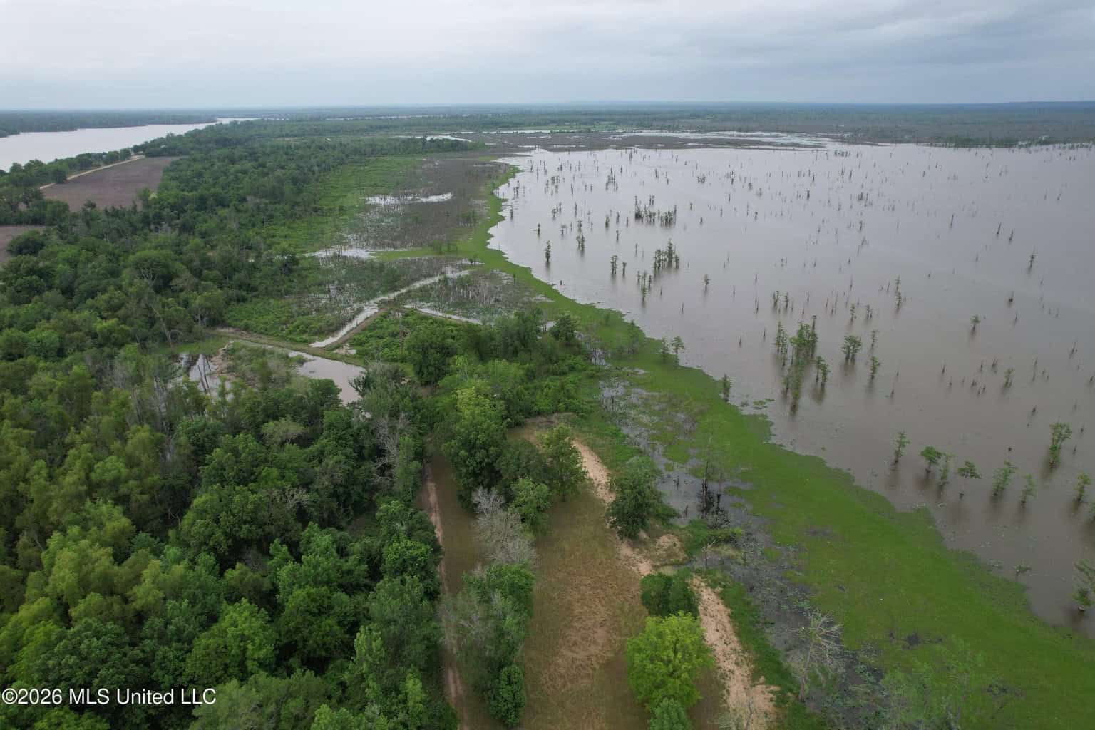 88 Acre Hunting Property – Wilkinson County, MS
