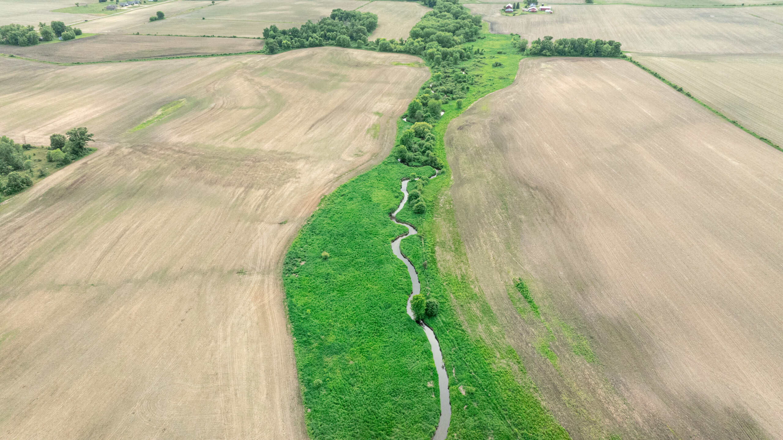 Online Auction 125± Acres of Farmland, Recreation & Investment Property