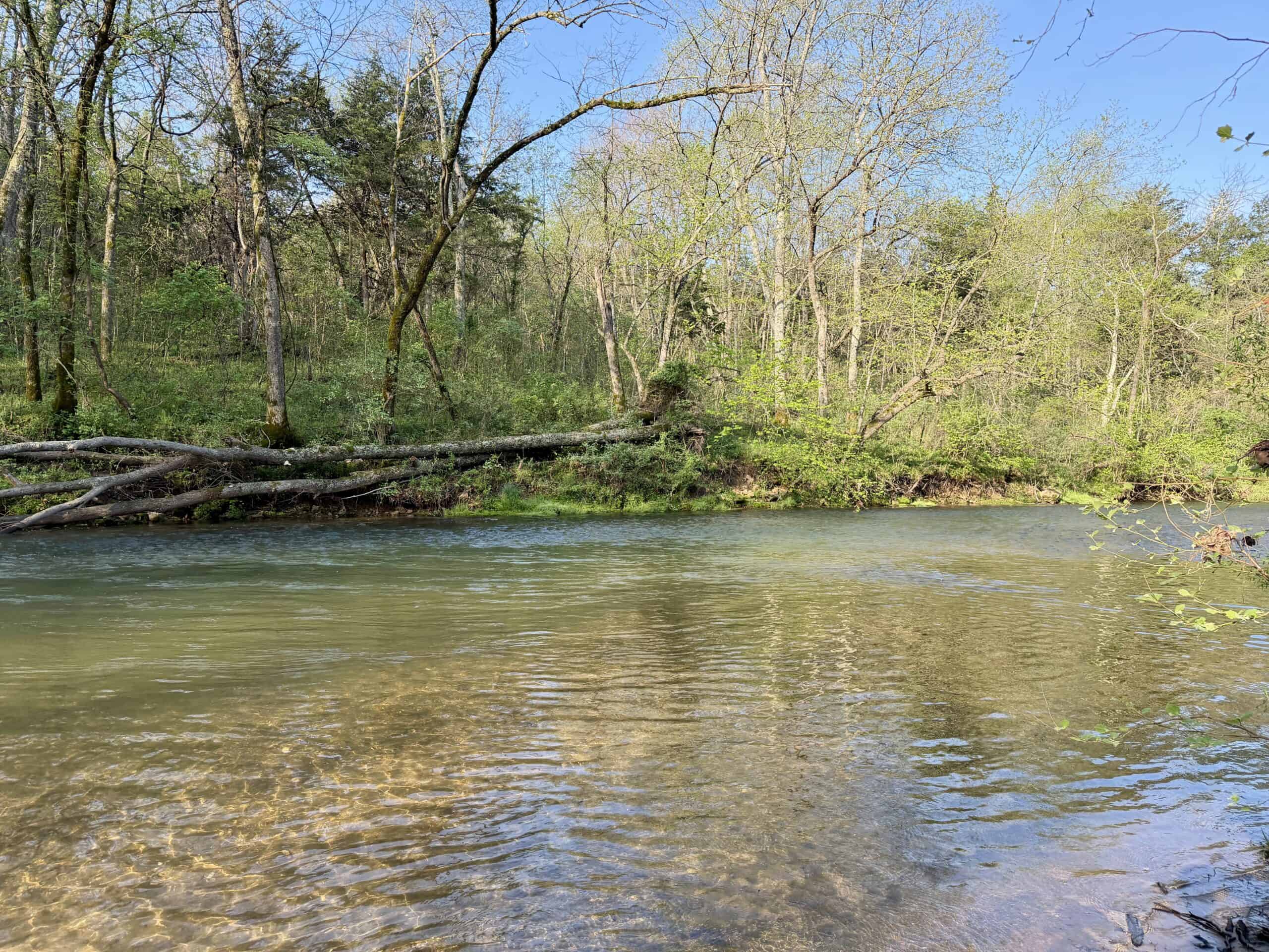 Land for Sale in the Missouri Ozark Mountains