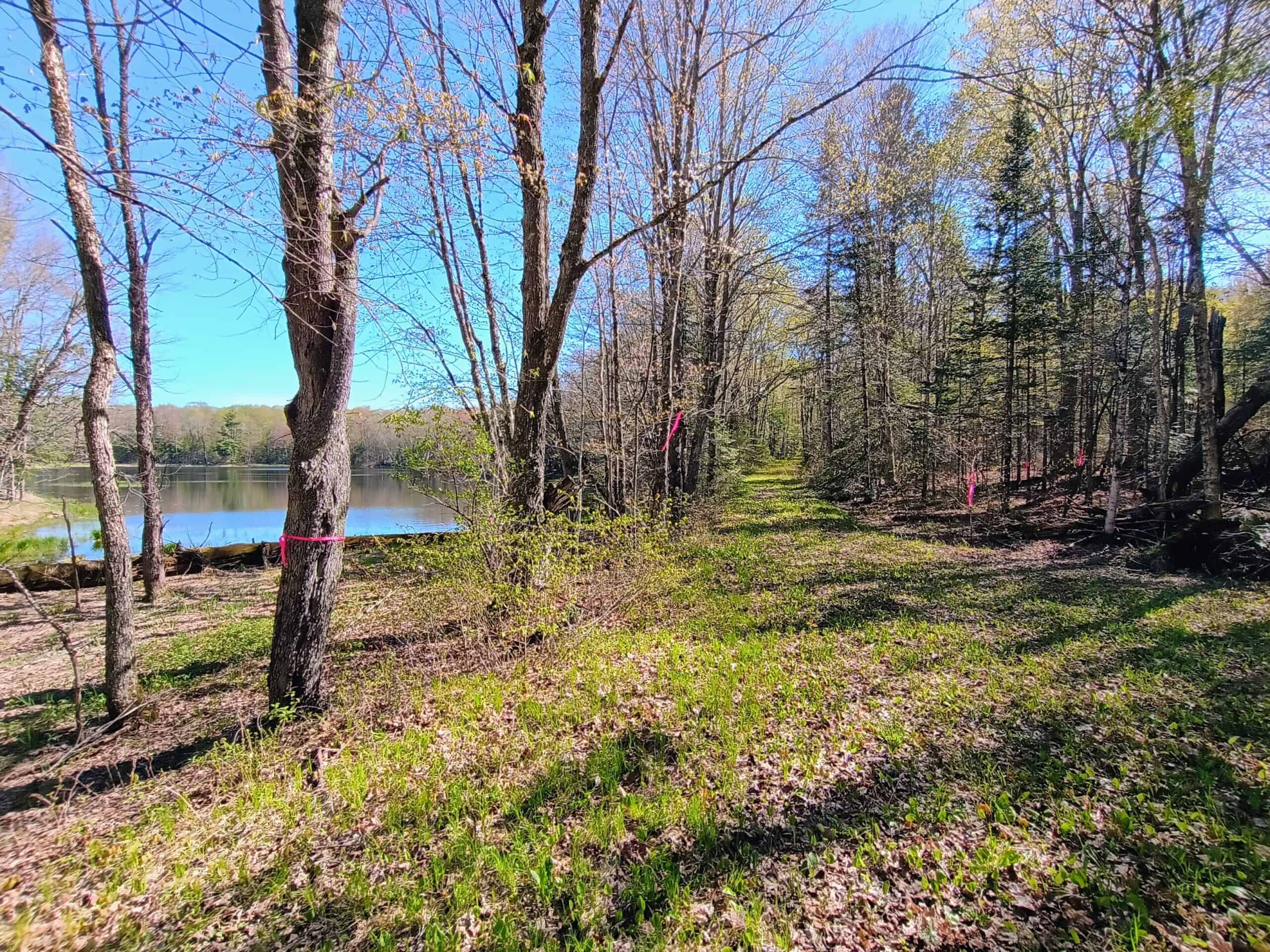 40 Acres Surrounded by 300,000 Acres of Public Land
