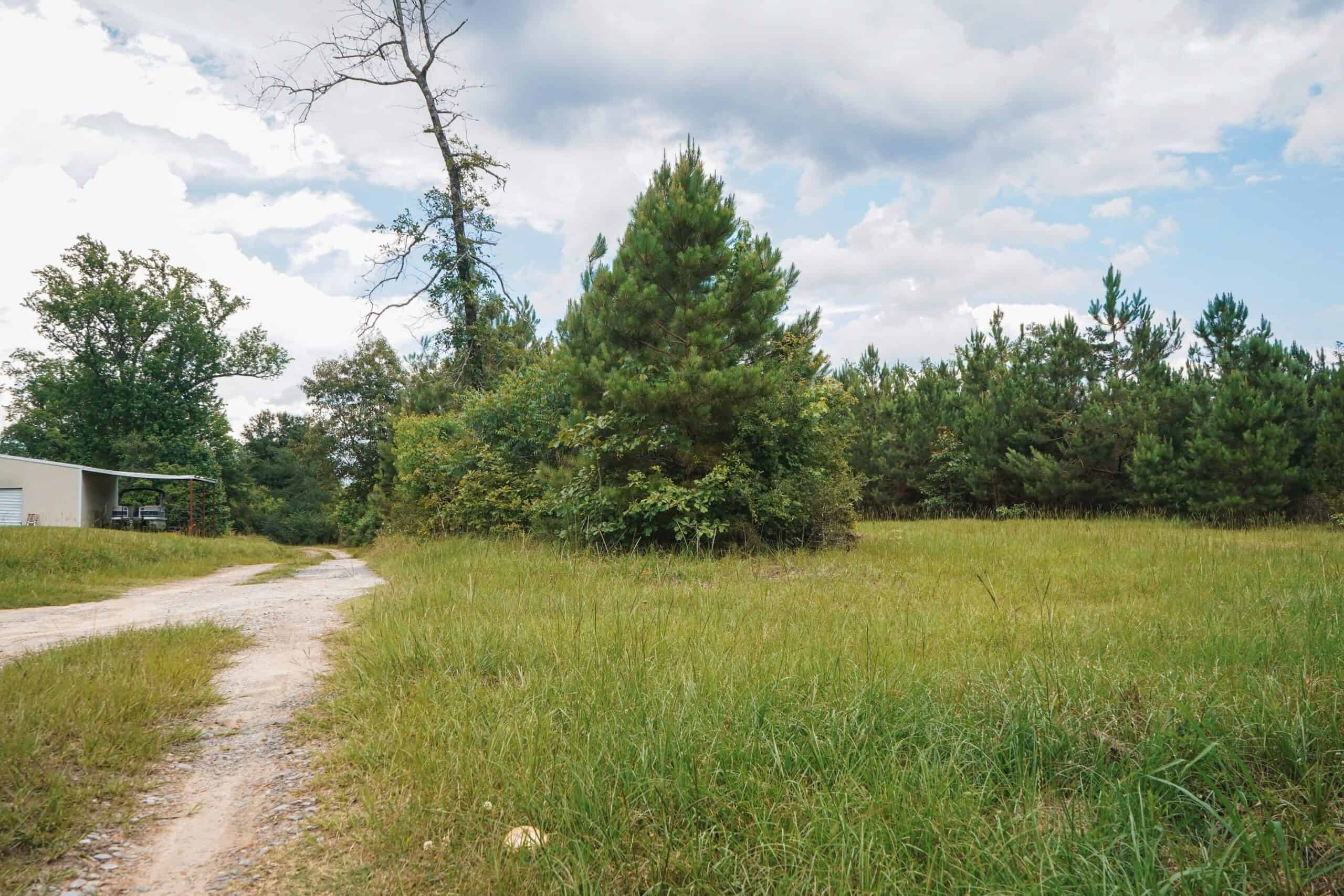 Weston 53 – Timber & Hunting Land in Louisiana
