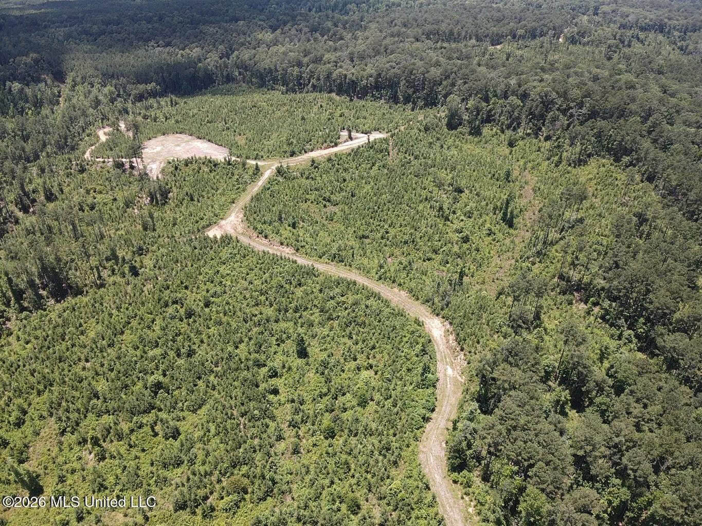 Wilkinson County MS Hunting Land for Sale