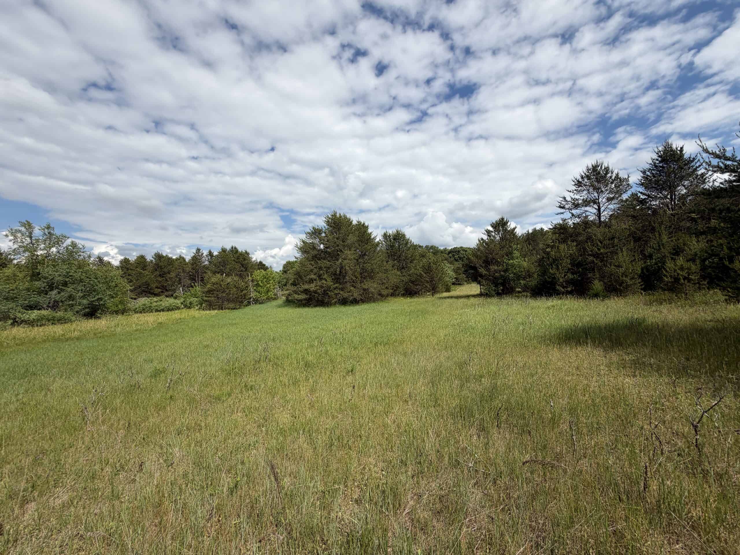 Forty acres in Adams County located in the Town of Strongs Prairie