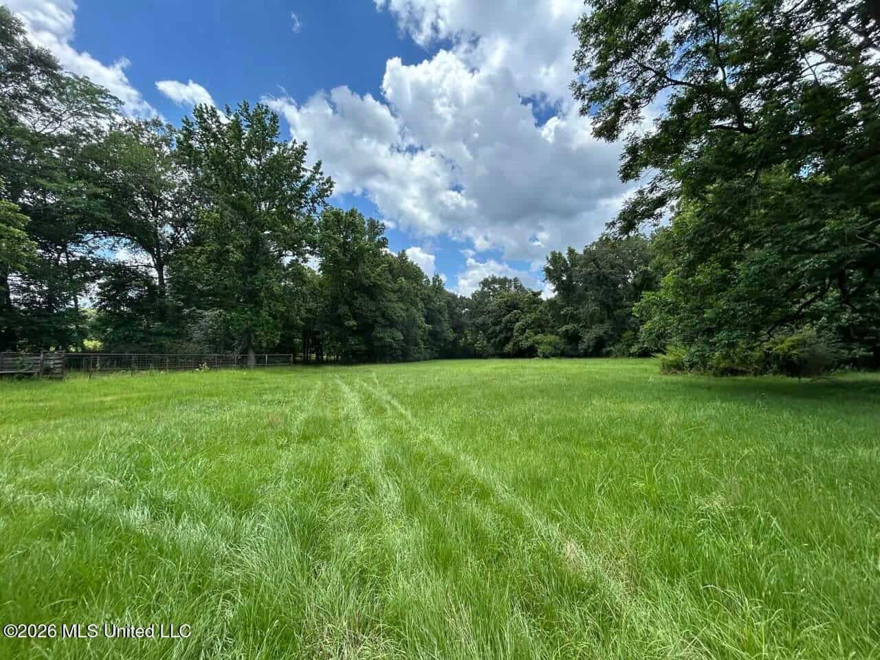 44 Acre Hunting Land in Wilkinson County, MS