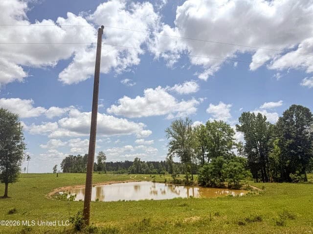 Pasture Land for Sale in Lincoln County, MS
