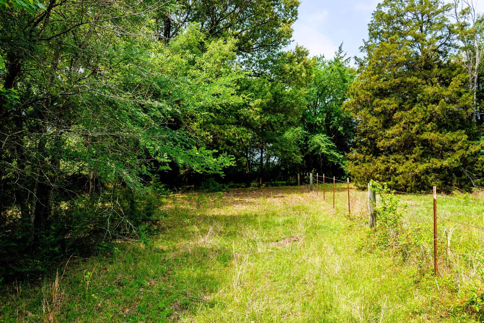 47.79-Acre Hunting Land with Cabin for Sale Ben Wheeler TX