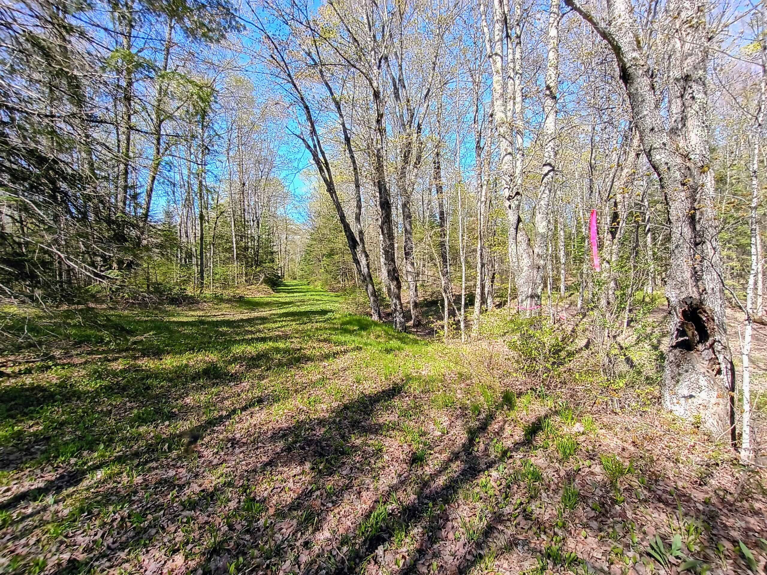 40 Acres Surrounded by 300,000 Acres of Public Land