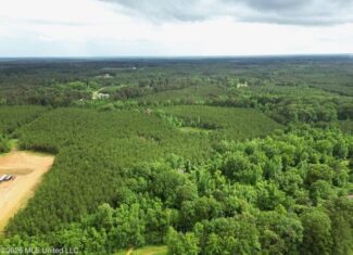 Land for Sale in Brookhaven, MS