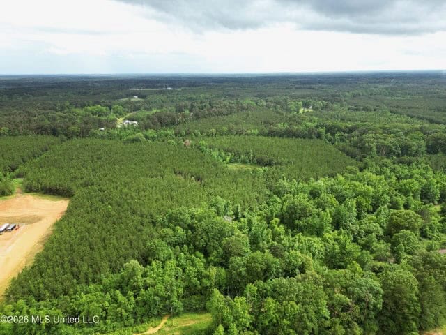Land for Sale in Brookhaven, MS