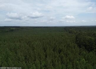 70+- Acres of Plantation Pines Pike County MS