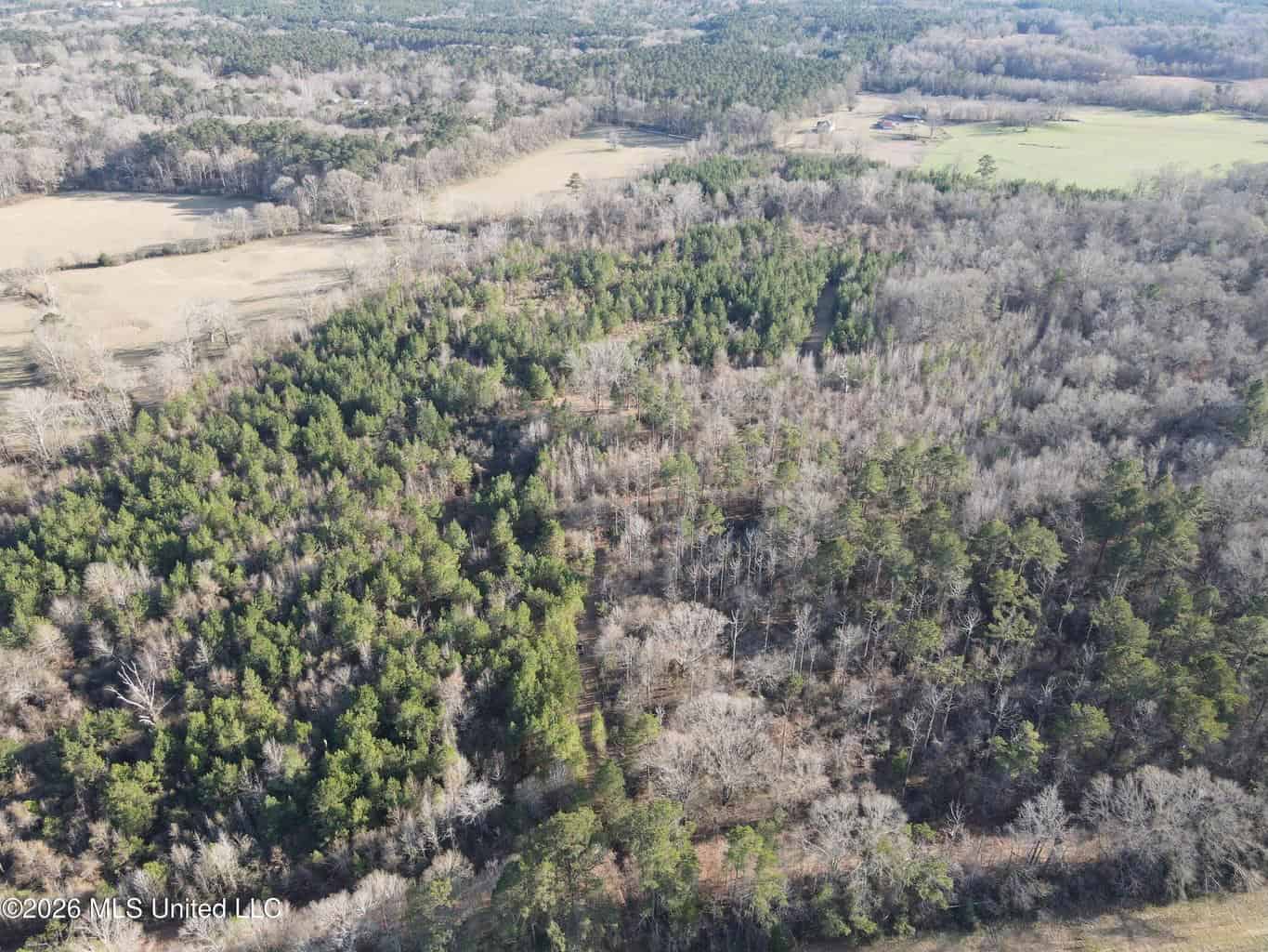 Hazlehurst MS Hunting Land for Sale