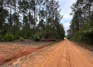 120± Acres for Sale in Osyka, MS on Tickfaw River