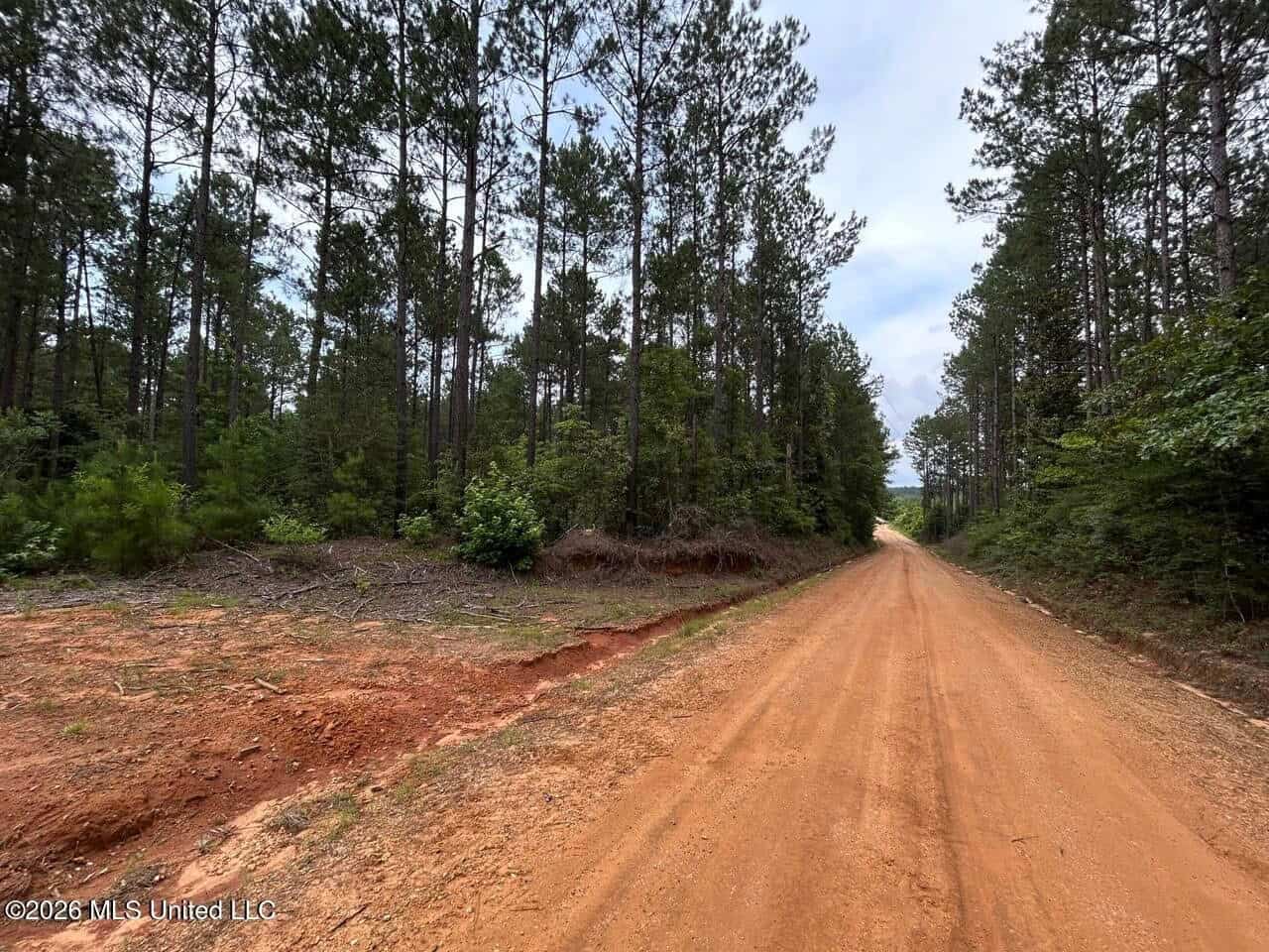 120± Acres for Sale in Osyka, MS on Tickfaw River