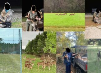 958± Acre High-Fence Ranch in Oakdale, Louisiana
