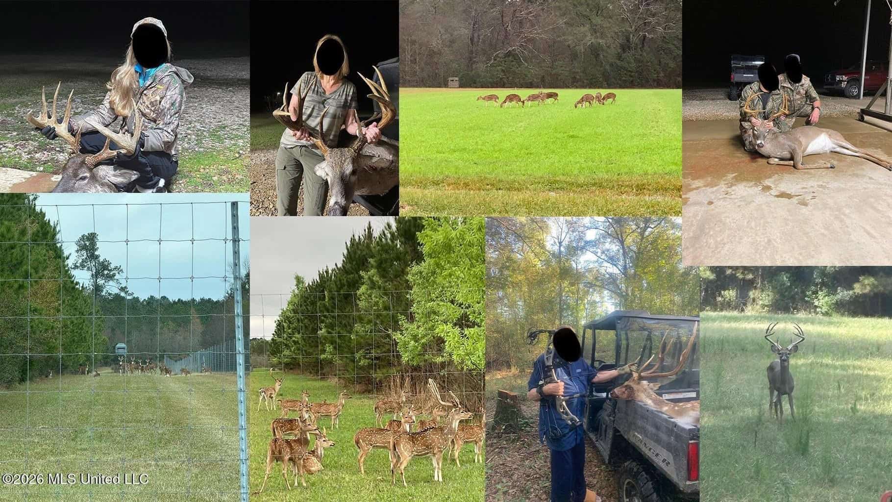 958± Acre High-Fence Ranch in Oakdale, Louisiana