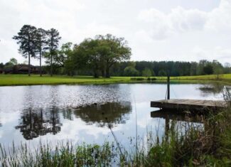 158± Acres with Custom Homes in Oakdale, Louisiana