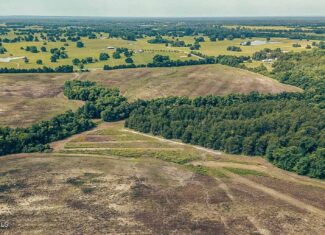 527 Acres Black Belt Prairie Clay County MS