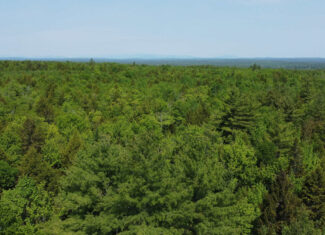 Large Land Parcel – 100 Acres in Maxfield, Maine