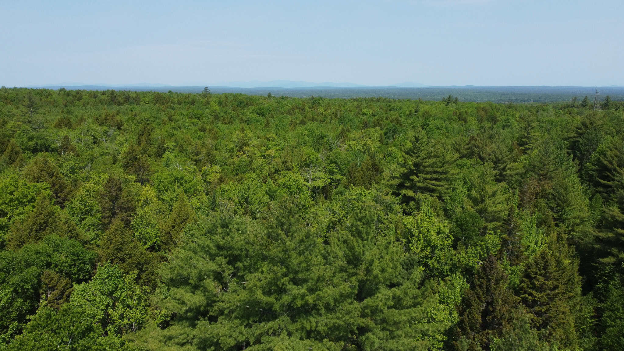Large Land Parcel – 100 Acres in Maxfield, Maine