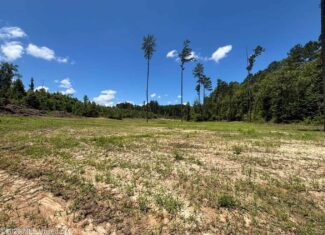 Wilkinson County MS Hunting Land for Sale