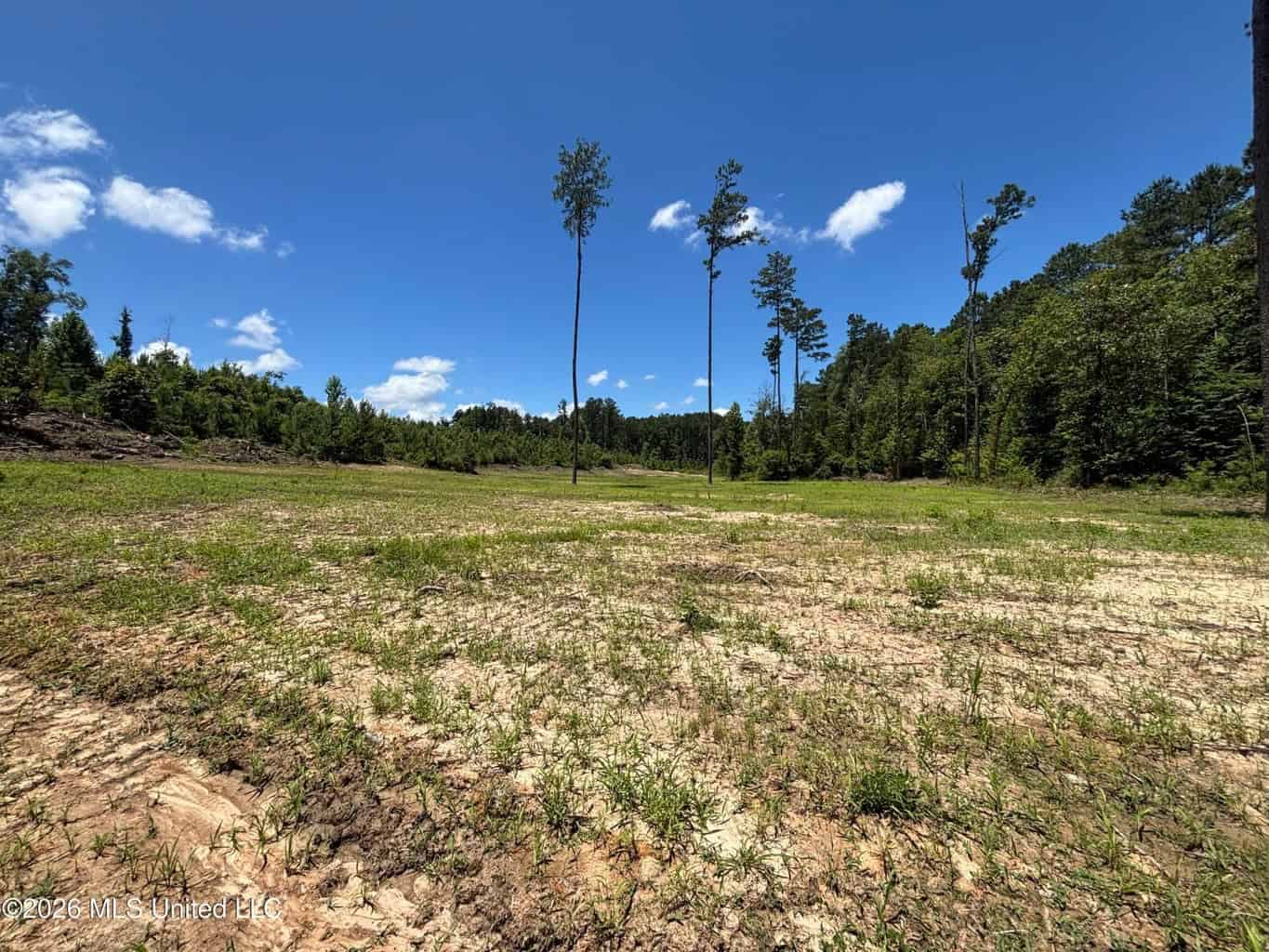 Wilkinson County MS Hunting Land for Sale