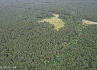 Crosby, MS Hunting Land by Homochitto National Forest